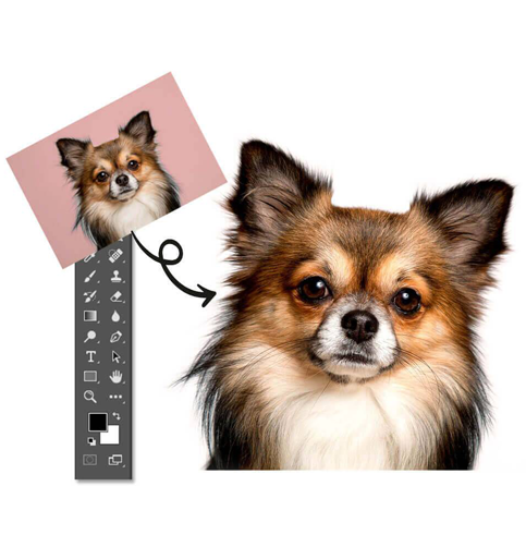 image- Masking